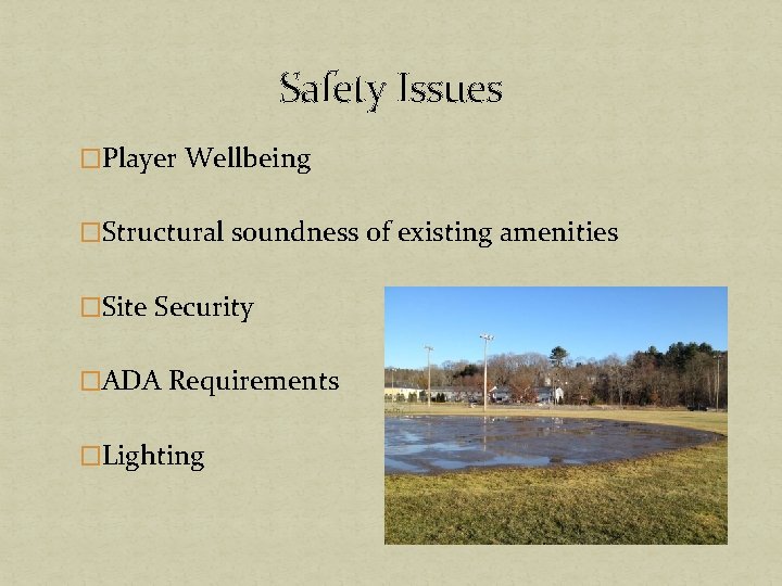 Safety Issues �Player Wellbeing �Structural soundness of existing amenities �Site Security �ADA Requirements �Lighting Safety Issues �Player Wellbeing �Structural soundness of existing amenities �Site Security �ADA Requirements �Lighting