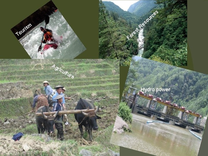 s e c r u o s m ris e R t s u