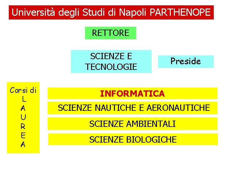 Università degli Studi di Napoli PARTHENOPE RETTORE SCIENZE E TECNOLOGIE Corsi di L A