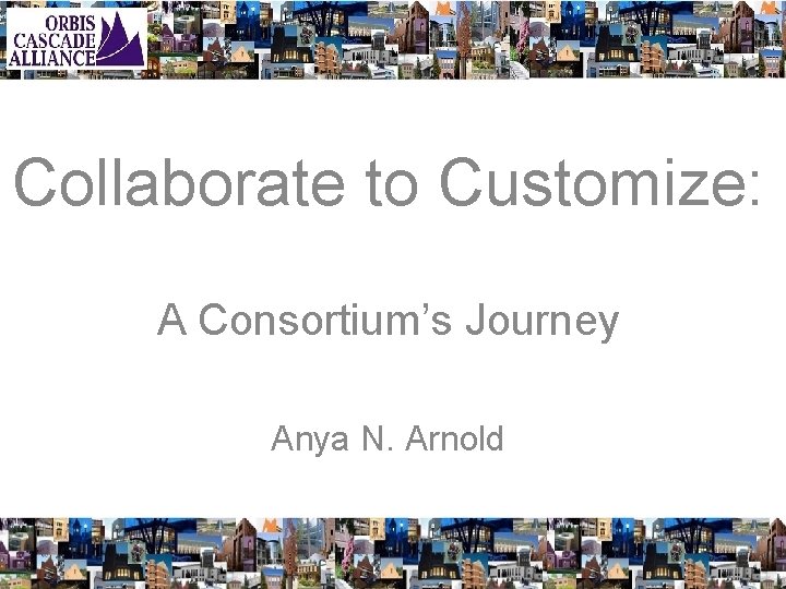 Collaborate to Customize: A Consortium’s Journey Anya N. Arnold 