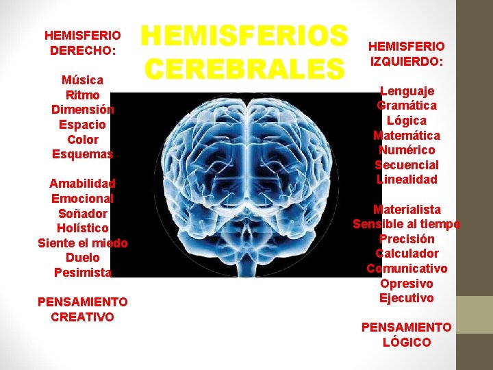 HEMISFERIO DERECHO: Música Ritmo Dimensión Espacio Color Esquemas Amabilidad Emocional Soñador Holístico Siente el