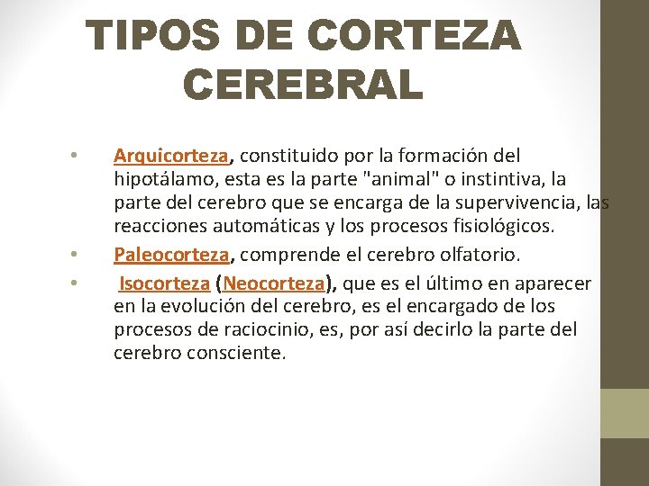 TIPOS DE CORTEZA CEREBRAL • • • Arquicorteza, constituido por la formación del hipotálamo,