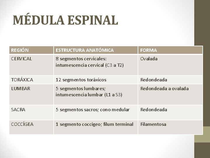 MÉDULA ESPINAL REGIÓN ESTRUCTURA ANATÓMICA FORMA CERVICAL 8 segmentos cervicales: intumescencia cervical (C 3