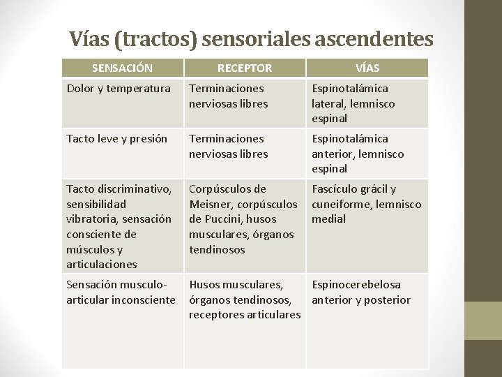 Vías (tractos) sensoriales ascendentes SENSACIÓN RECEPTOR VÍAS Dolor y temperatura Terminaciones nerviosas libres Espinotalámica