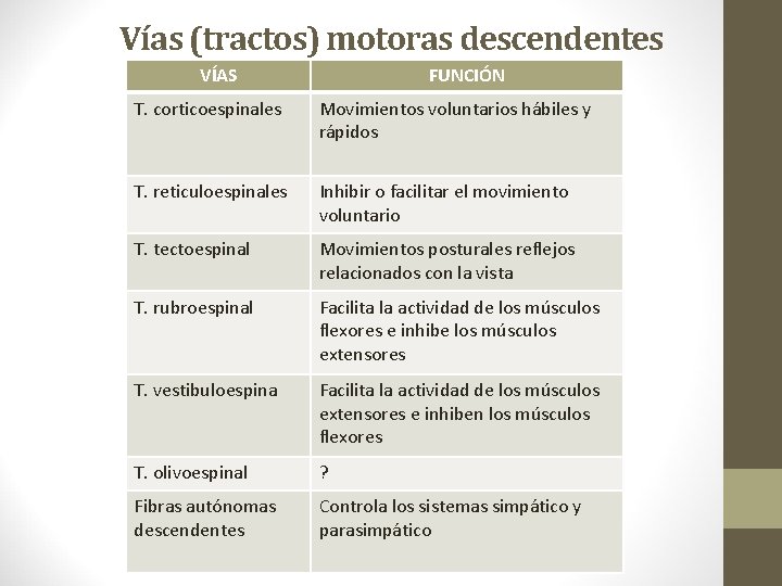 Vías (tractos) motoras descendentes VÍAS FUNCIÓN T. corticoespinales Movimientos voluntarios hábiles y rápidos T.