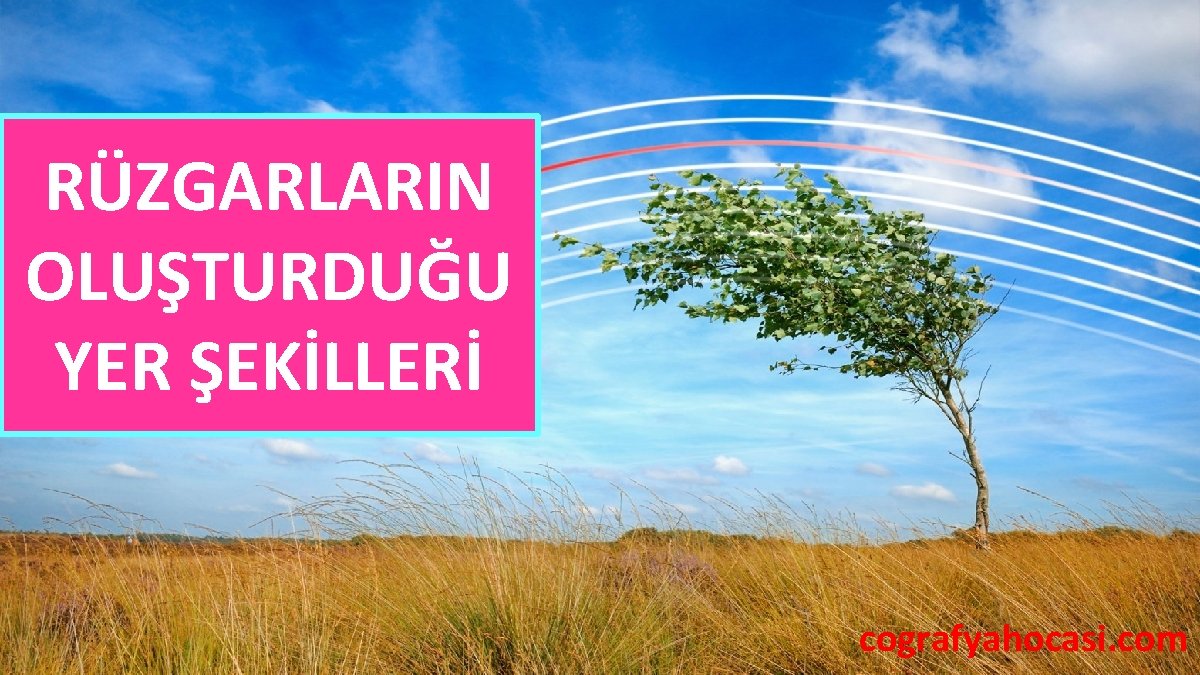 RÜZGARLARIN OLUŞTURDUĞU YER ŞEKİLLERİ cografyahocasi. com 