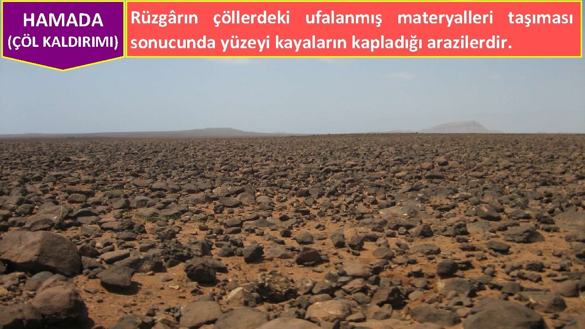 Rüzgârın çöllerdeki ufalanmış materyalleri taşıması (ÇÖL KALDIRIMI) sonucunda yüzeyi kayaların kapladığı arazilerdir. HAMADA 