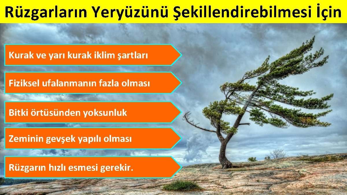 Rüzgarların Yeryüzünü Şekillendirebilmesi İçin Kurak ve yarı kurak iklim şartları Fiziksel ufalanmanın fazla olması