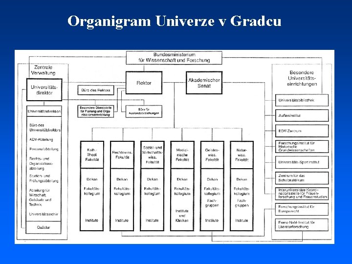 Organigram Univerze v Gradcu 