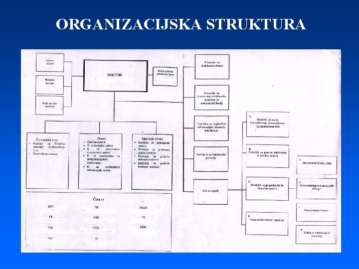 ORGANIZACIJSKA STRUKTURA 