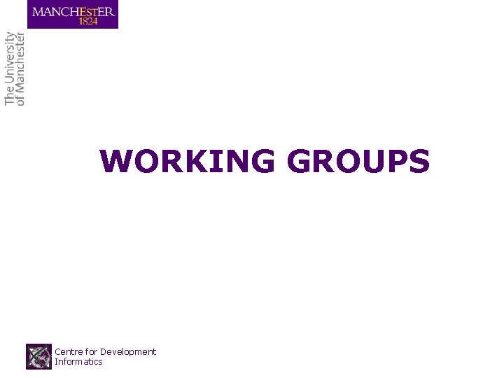 WORKING GROUPS Centre for Development Informatics 