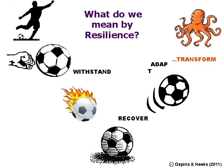 What do we mean by Resilience? WITHSTAND ADAP T . . . TRANSFORM RECOVER