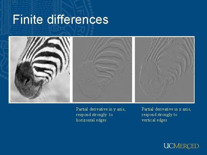 Finite differences Partial derivative in y axis, respond strongly to horizontal edges Partial derivative