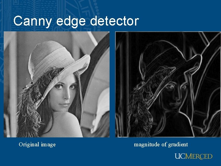 Canny edge detector Original image magnitude of gradient 