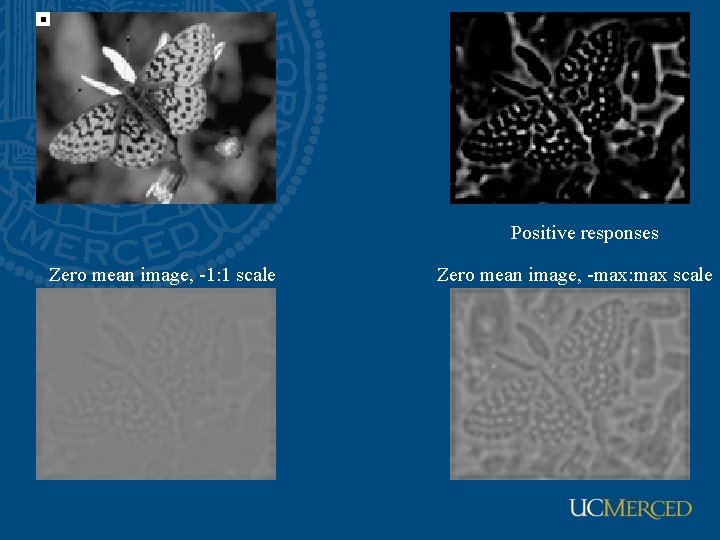 Positive responses Zero mean image, -1: 1 scale Zero mean image, -max: max scale