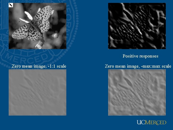 Positive responses Zero mean image, -1: 1 scale Zero mean image, -max: max scale