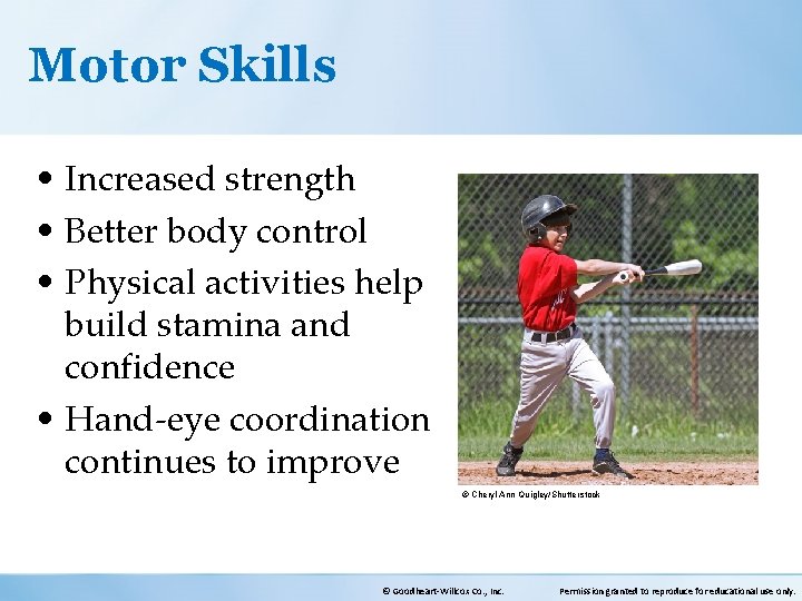 Motor Skills • Increased strength • Better body control • Physical activities help build