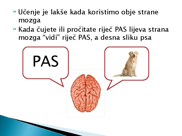  Učenje je lakše kada koristimo obje strane mozga Kada čujete ili pročitate riječ