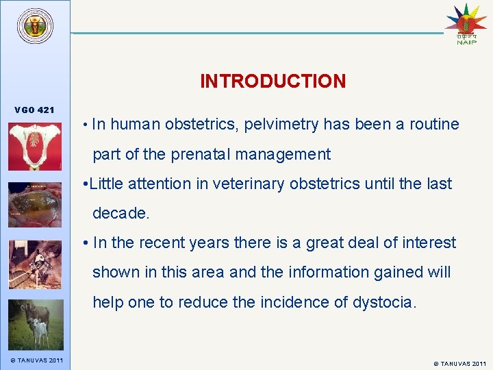 INTRODUCTION VGO 421 • In human obstetrics, pelvimetry has been a routine part of