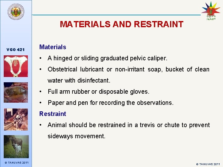 MATERIALS AND RESTRAINT VGO 421 Materials • A hinged or sliding graduated pelvic caliper.