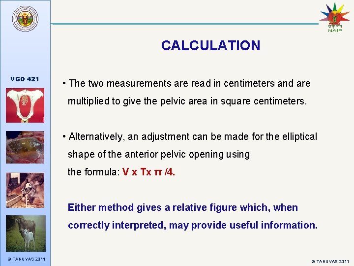 CALCULATION VGO 421 • The two measurements are read in centimeters and are multiplied