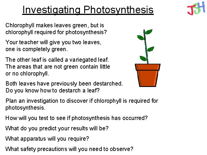 Investigating Photosynthesis Chlorophyll makes leaves green, but is chlorophyll required for photosynthesis? Your teacher