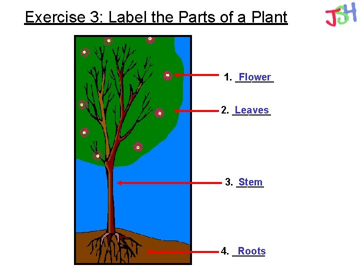 Exercise 3: Label the Parts of a Plant 1. _______ Flower 2. _______ Leaves