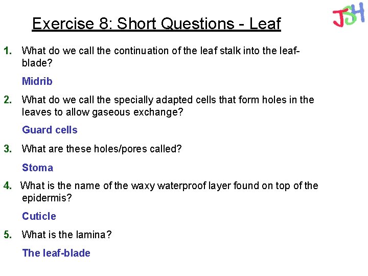 Exercise 8: Short Questions - Leaf 1. What do we call the continuation of