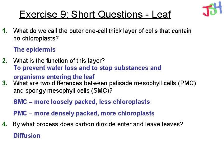 Exercise 9: Short Questions - Leaf 1. What do we call the outer one-cell