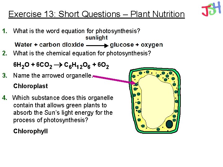 Exercise 13: Short Questions – Plant Nutrition 1. What is the word equation for