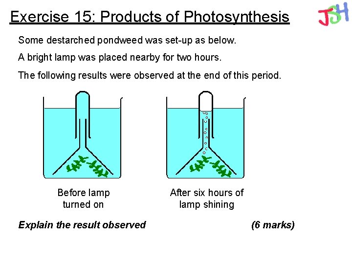 Exercise 15: Products of Photosynthesis Some destarched pondweed was set-up as below. A bright