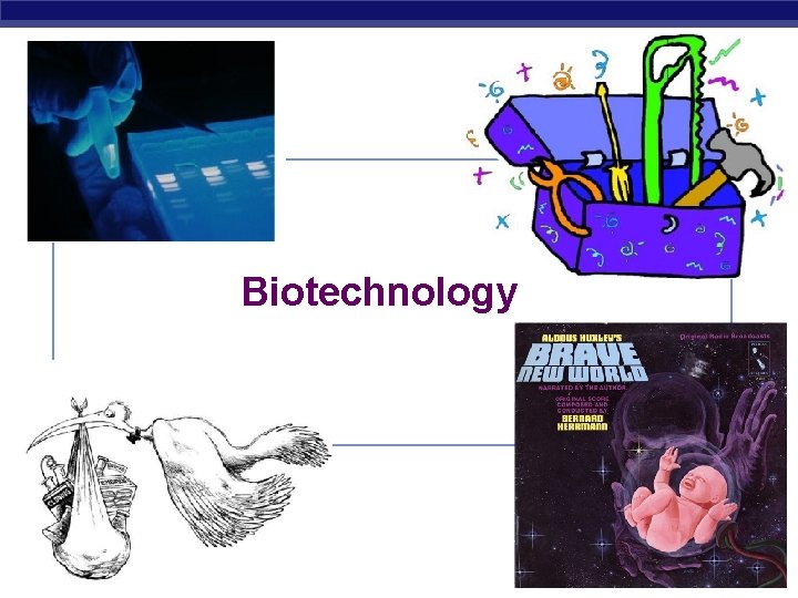 Biotechnology AP Biology 2007 -2008 