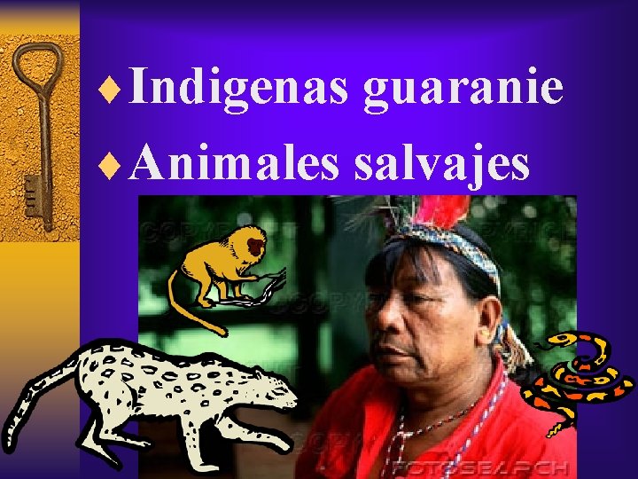 ¨Indigenas guaranie ¨Animales salvajes 