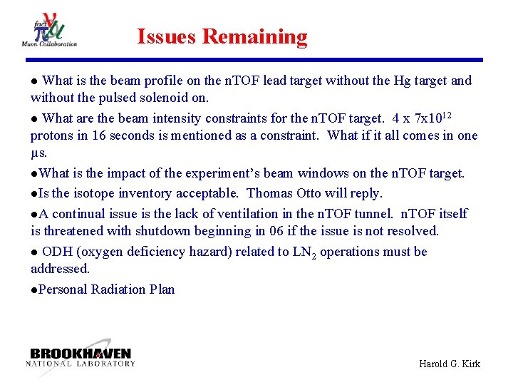 Issues Remaining What is the beam profile on the n. TOF lead target without