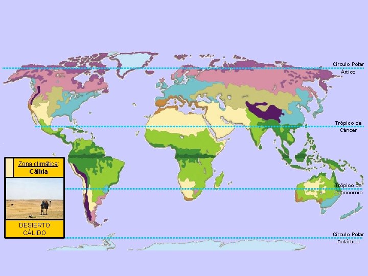 Círculo Polar Ártico Trópico de Cáncer Zona climática: Cálida Trópico de Capricornio DESIERTO CÁLIDO