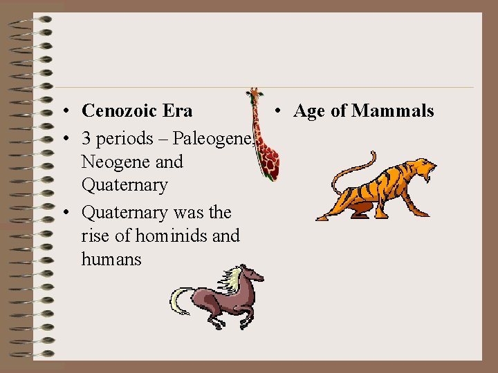  • Cenozoic Era • Age of Mammals • 3 periods – Paleogene, Neogene
