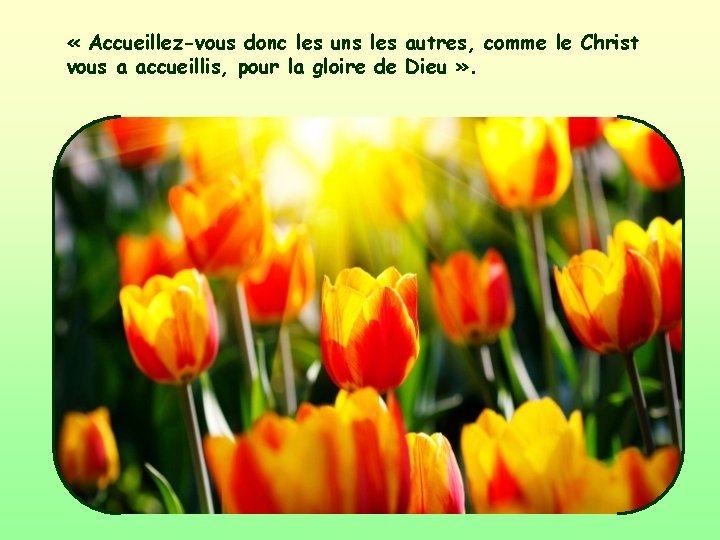  « Accueillez-vous donc les uns les autres, comme le Christ vous a accueillis,