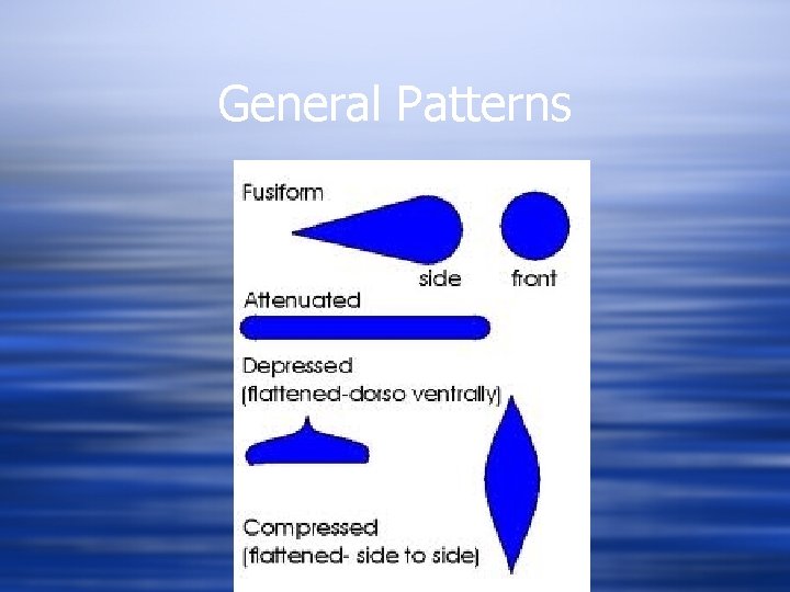 General Patterns 
