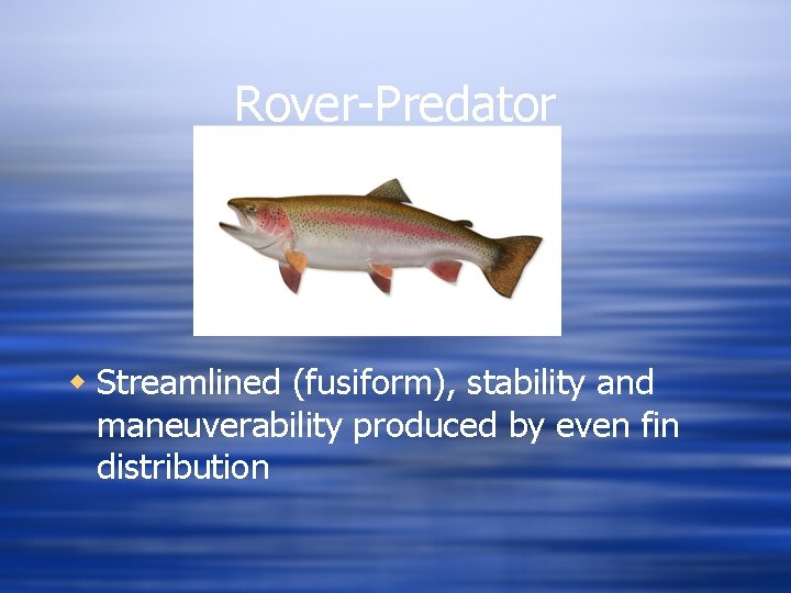 Rover-Predator w Streamlined (fusiform), stability and maneuverability produced by even fin distribution 