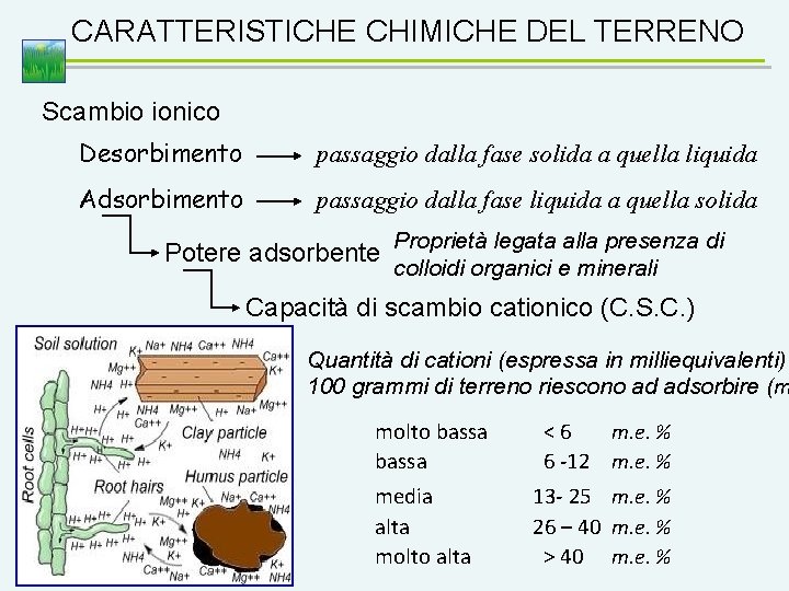 CARATTERISTICHE CHIMICHE DEL TERRENO Scambio ionico Desorbimento passaggio dalla fase solida a quella liquida