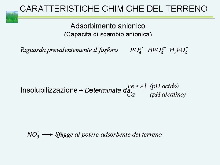 CARATTERISTICHE CHIMICHE DEL TERRENO Adsorbimento anionico (Capacità di scambio anionica) Riguarda prevalentemente il fosforo