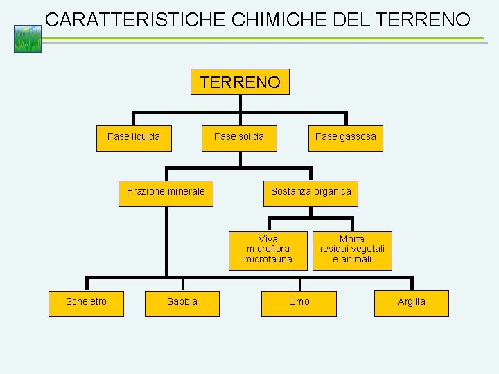 CARATTERISTICHE CHIMICHE DEL TERRENO Fase liquida Fase solida Frazione minerale Fase gassosa Sostanza organica