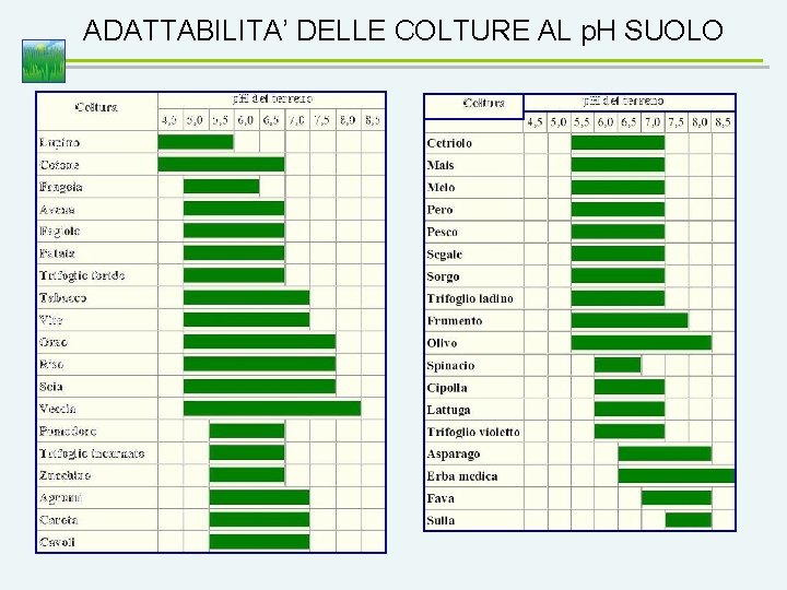 ADATTABILITA’ DELLE COLTURE AL p. H SUOLO 