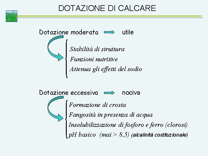DOTAZIONE DI CALCARE Dotazione moderata utile Stabilità di struttura Funzioni nutritive Attenua gli effetti