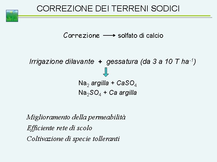 CORREZIONE DEI TERRENI SODICI Correzione solfato di calcio Irrigazione dilavante + gessatura (da 3