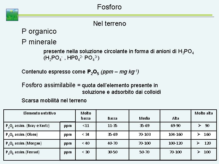 Fosforo Nel terreno P organico P minerale presente nella soluzione circolante in forma di