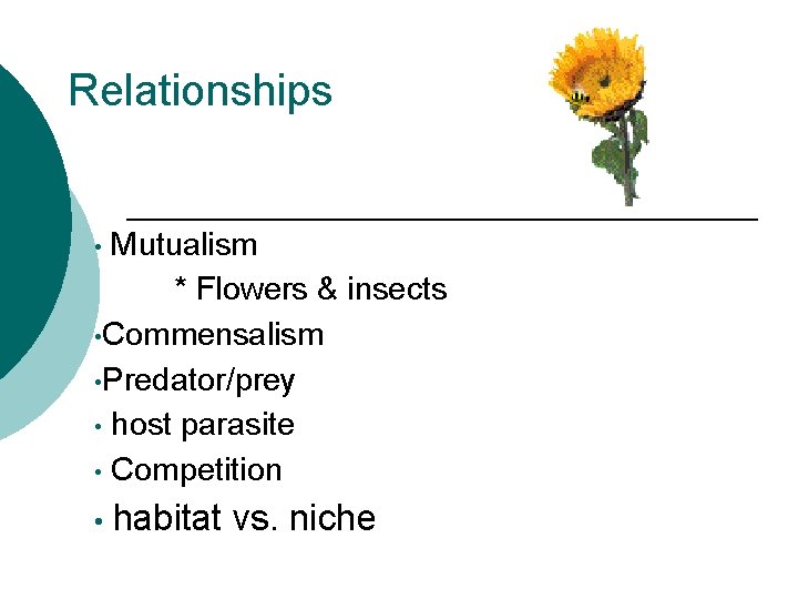 Relationships Mutualism * Flowers & insects • Commensalism • Predator/prey • host parasite •