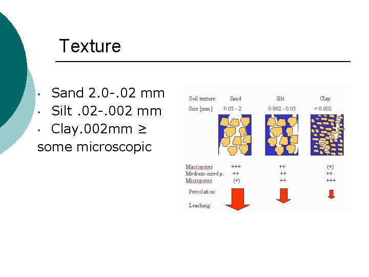 Texture Sand 2. 0 -. 02 mm • Silt. 02 -. 002 mm •