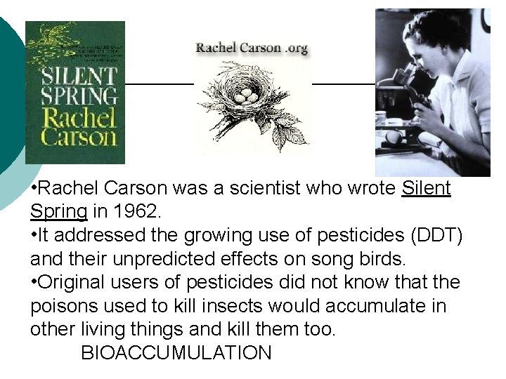  • Rachel Carson was a scientist who wrote Silent Spring in 1962. •