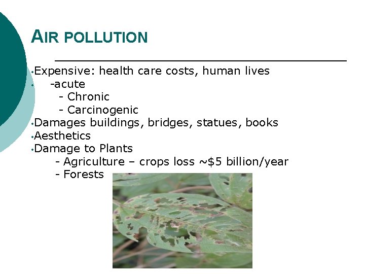 AIR POLLUTION • Expensive: health care costs, human lives -acute - Chronic - Carcinogenic